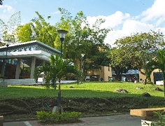 La atención en la Universidad de Ibagué continúa en estas épocas de contención del COVID-19, con horarios especiales y de manera virtual.